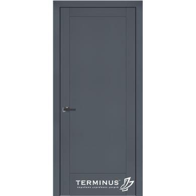 Дверь межкомнатная крашенная Terminus Фрезато модель 24.2 (44 мм) Эмаль Антрацит