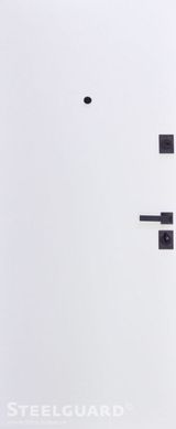Дверь входная металлическая Steelguard Devi-U Remo Бетон Антрацит/белый мат