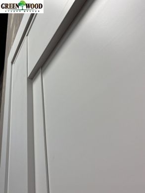 Двери межкомнатные NEXT 1x емалит белый сатин