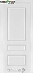 Дверь межкомнатная шпонированная Terminus Каро Модель 53 (Глухое) Ясень Белый