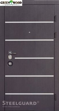 Дверь входная металлическая Steelguard AV-5 комплектация Forte+