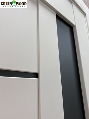 Двери межкомнатные RE37 Софт тач айс графит