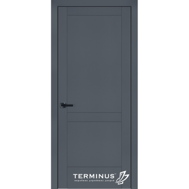 Дверь межкомнатная крашенная Terminus Фрезато модель 24.3 (44 мм) Эмаль Антрацит