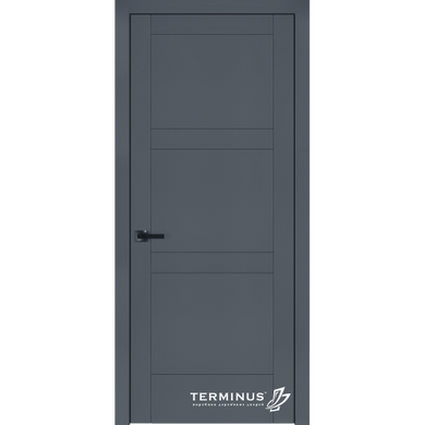 Дверь межкомнатная крашенная Terminus Фрезато модель 24.4 (44 мм) Эмаль Антрацит