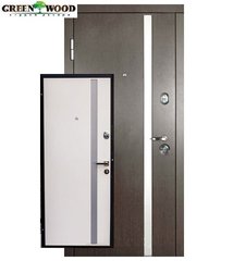 Дверь входная металлическая Steelguard АV-1
